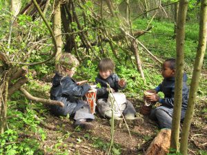 Forest exploring insts